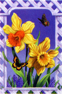 View Daffodils & Lattice Flag 28"x40" - 0010CD