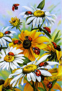 View Daisies & Ladybugs Garden Flag 12"x18" - 0018MCD