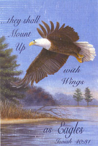View Wings As Eagles Flag 28"x40" - 0170CD