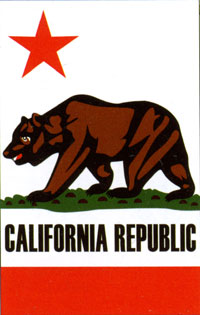 California Applique Flag 28"x44"
