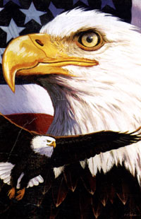 View American Pride Flag 28"x40" - 131190EG