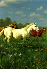 View Prairie Meadow Flag 29"x43" - 13822EG