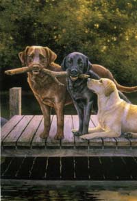 View Dog Days Silk Reflections Flag 29"x43" - 13829EG