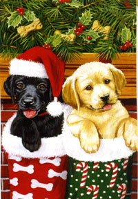 View Stocking Pups Silk Reflections Flag 29"x43" - 13835EG