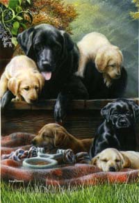 View Puppies Silk Reflections Flag 29"x43" - 13837EG