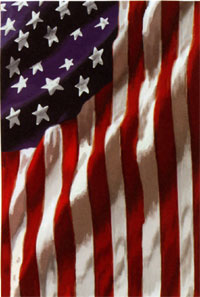 View American in Motion Silk Reflections Flag 29"x43" - 13846EG