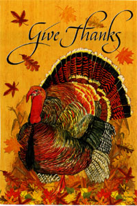 View Thanksgiving Turkey Silk Reflections Garden Flag 12"x16" - 14863EG