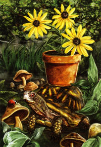 Turtle & Ladybug Flag 29"x43"