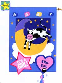 View Its A Baby Applique Garden Flag 13"x17" Includes removable numbers to change weight & girl/boy star - 16160EG