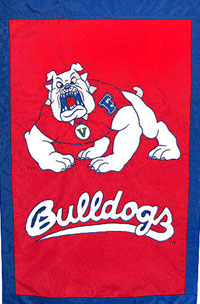 Fresno State University flag 28"x44"