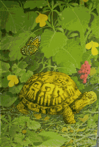 View Turtle 3-D Impressions Flag 28"x40" - 21479