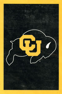 View University of Colorado Applique Flag 28"x44" - 23601EG