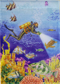 View Scuba Diver Impressions Flag 28"x40" - 24001