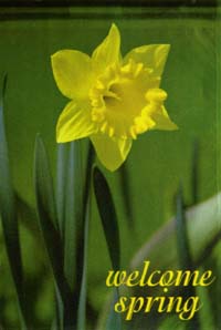 View Daffodil Impressions Flag 28"x40" - 24833