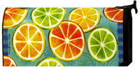Citrus Slices Magnetic Mail Wrap