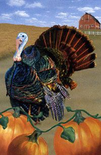 View Turkey Run Flag 28"x40" - 52665A