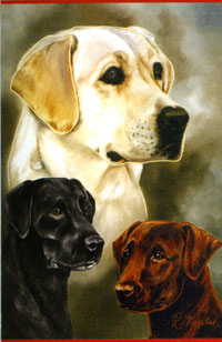 View Labrador Retrievers Flag 28"x40" - 52696A
