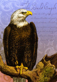 View Bald Eagle Flag 28"x40" - 52937A