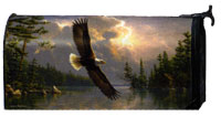 View Summertime Eagle Magnetic Mail Wrap - 5704MW