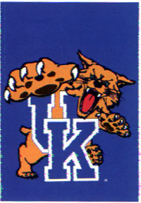 View University of Kentucky Screen Print Flag 28"x40" - 59604