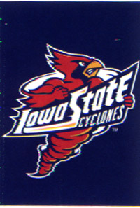 View Iowa State University Screen Print Flag 28"x40" - 59649