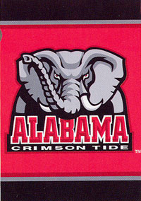 View University of Alabama Flag 28"x40" - 59664