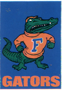 View University of Florida Flag 28"x40" - 59916