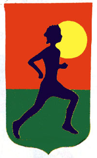 View Runner Applique Flag 28"x48" - 65324FF