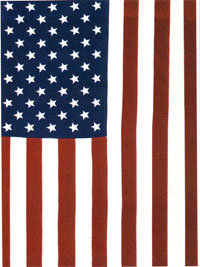 View American Flag Garden Flag 12"x18" - 9148MCD