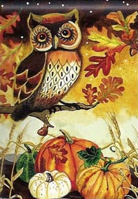 View Night Owl Garden Flag   12.5" x 18" - 32680MW