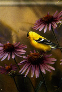 View Goldfinch & Coneflower Flag 28"x40" - 92930MW