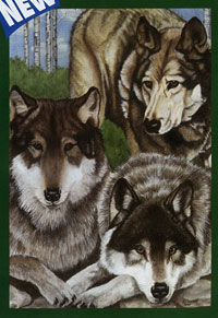 View Wolves Flag 28"x40" - 9547CD