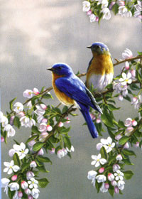 View Bluebirds & Blossoms Flag 28"x40" - 95708MW