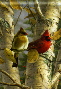 View Cardinals in Birch Flag 28"x40" - 95719MW