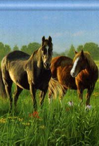 View Morning Meadow Flag 28"x40" - 95734MW