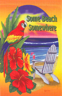 View Some Beach Somewhere Parrot Flag 28"x40" - 9573CD