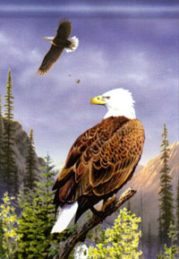 View Bald eagles Flag 28"x40" - 95746MW