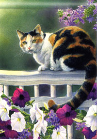 View Calico Kitty Flag 28"x40" - 95934MW