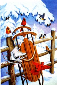 View Birds & Sled Flag 28"x40" - 9673CD