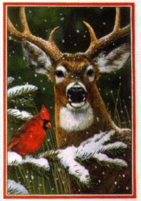 View Deer & Cardinal Flag 28"x40" - 9774CD