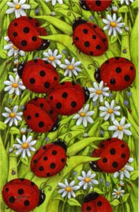 View Ladybug Daisy Flag 28"x40" - 9807CD