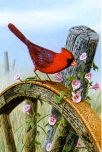 View Cardinal Wheel Garden Flag 12.5"x18" - 9810MCD