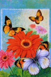 View Gerber Daisy & Butterflies Garden Flag 12.5"x18" - 9863MCD