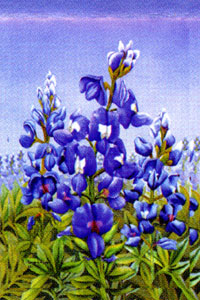 View Bluebonnets Flag 28"x40" - 9872CD