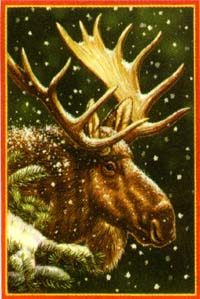 View Winter Moose Flag 28"x40" - 9939CD