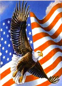 View Patriotic Eagle Flag 28"x40" - FC098CF