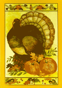 View Regal Turkey Flag 28"x40" - T0553