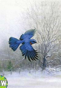 View Bluebird Flag 28" x 40" - T0581