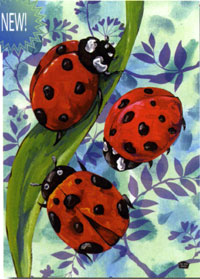 View Climb by Ladybug Flag 28"x40" - T8239