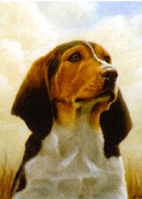 View Beagle Garden Flag 12"x18" - FCM061CF